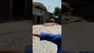 Download lagu Dera Salam Village Rawat mp3