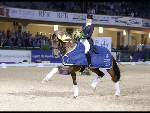 Vitalis - Stallion Collection Schockemoehle & Helgstrand 2021 ENG
