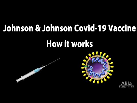 Antibiotics Mechanisms of Action Animation