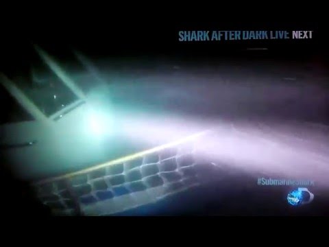 Submarine Shark attack caught on Video