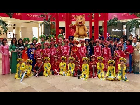 Hạt mầm Việt Nam Sheet - Unknown