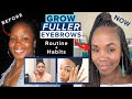 How To Grow Eyebrow Back