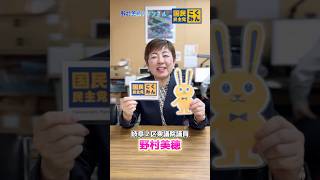 【国民民主党 野村美穂】今週末4月5日(日)は党大会です！また5月には岐阜県第2区総支部の定期大会もございます。 #国民民主党 #野村美穂 #岐阜県
