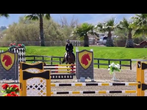 Daphne RC - Thermal Week V 2016 - 5Yr - Rancho Corazon - BDN Sport Horses