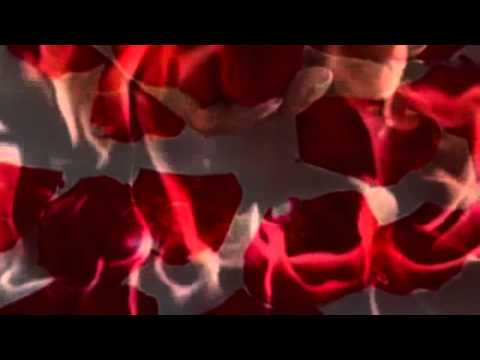 Dioni Martin & Ketito  - Dejame intentar