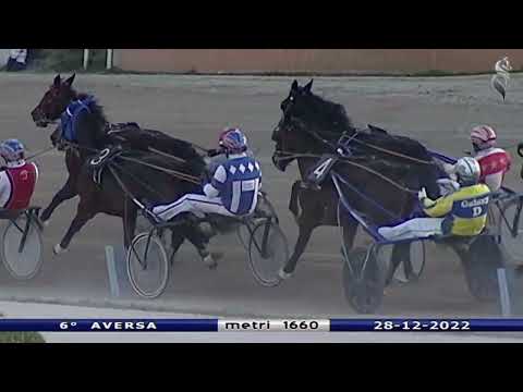 Aversa trotto 28 Dicembre 2022 - 6° Corsa