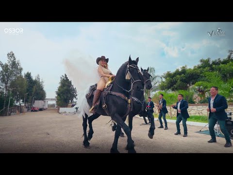 La Ladrona Veloz de la Sierra