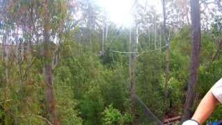 preview picture of video 'Hollybank Treetop Adventure Review Video'