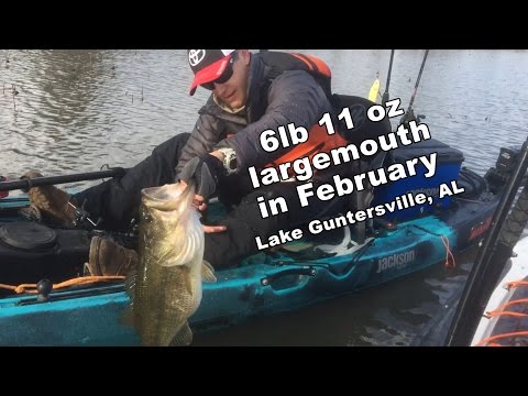 Release of a big Lake Guntersville largemouth
