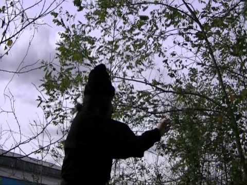 NINJUTSU ART OF DEATH BACKTO BASIC PART 3 ICHIMONJI NO KAMAE