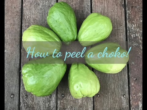 How to peel and use chokos (chayotes)!