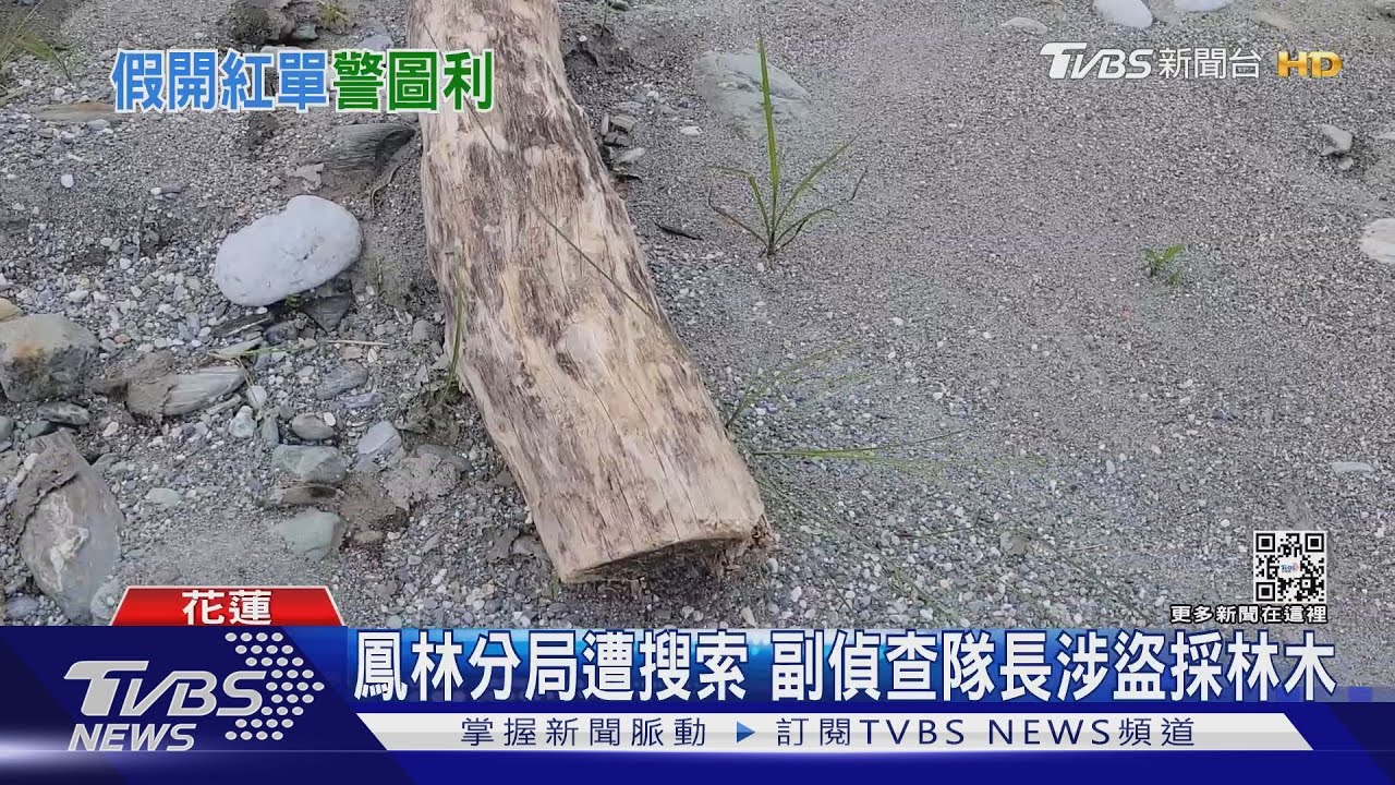鳳林分局遭搜索 副偵查隊長涉盜採林木