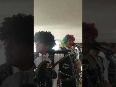 El negro rabioso en vivo Mariachi de mi tierra Bimbaletes Loreto Zacatecas
