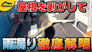 わずか4年で雨漏り!? 早期に発生した原因と対策を徹底解説