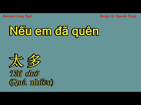Karaoke - Nếu em đã quên - 太多 (Quá nhiều) (G Min)