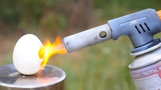 EGG VS GAS TORCH