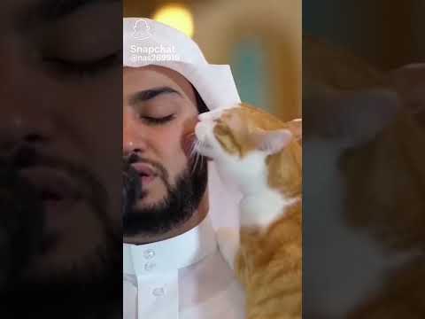 ١٩ مايو ٢٠٢٦