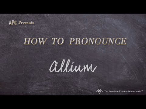 How to Pronounce Allium (Real Life Examples!)