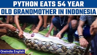 Massive python eats elderly woman in Indonesia, pics of the snake go viral | Oneindia News *News