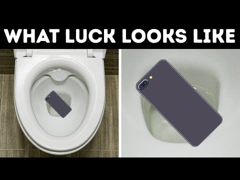 That's What Happens After You Flush