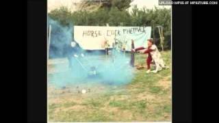Sun City Girls - Love Train