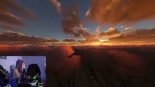 Microsoft Flight Simulator