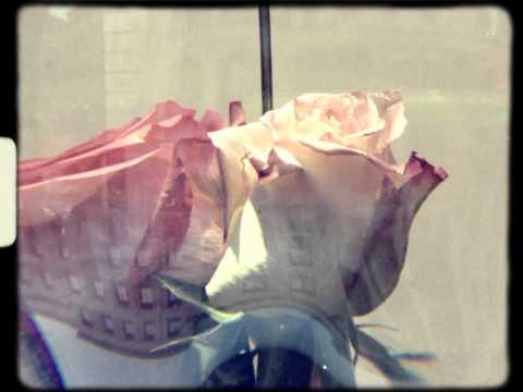 To My Love - Hotel Coste