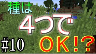【マイクラ】種が四つでも大丈夫！？　サクサクなマインクラフト