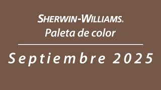 Explora la paleta de agosto: cada color, un espacio distinto ✨