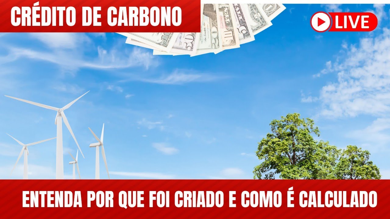 CRÉDITO DE CARBONO | RESUMO