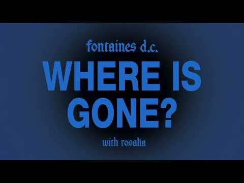 Miniatura de Where Is Gone?