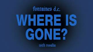 Fontaines D.C. - Where Is Gone? (with Rosalía)