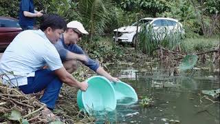 TỔNG KẾT ĐÁNH GIÁ HIỆU QUẢ CÁC MÔ HÌNH P2
