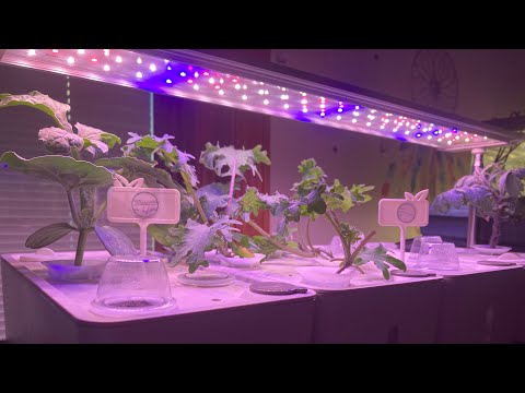 Idoo 20 Pod Hydroponic Garden Growing Alternative ! Unboxed ! #garden #plants #plant #hydroponics