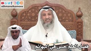 81 - فضل العلم حتى في البهائم - عثمان الخميس