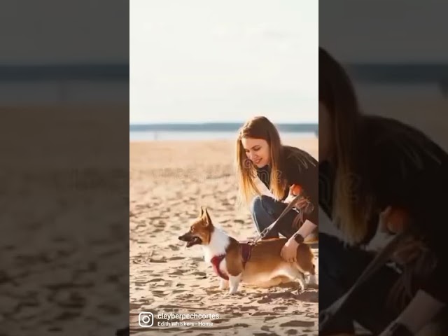 Vídeo relacionado con Un mundo de ensueño (Best Seller | Ficción)