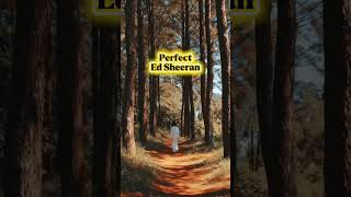 Download lagu Perfect #perfect #edsheeran #music #song #laguviral  mp3