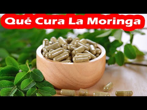 PARA QUE SIRVE LA MORINGA, Sus Impresionantes BENEFICIOS Y PROPIEDADES