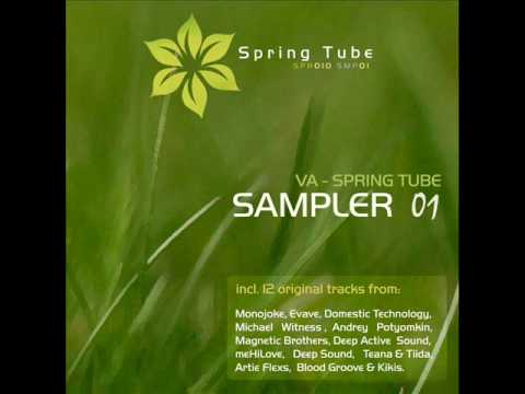 Magnetic Brothers - Looking Into Her Eyes Like A Sky - Spring Tube