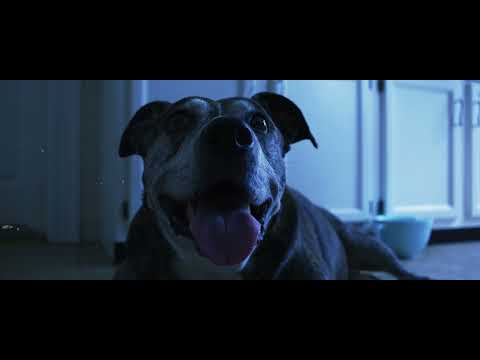 Fathom Farewell - Save Your Breath Ft. Justin Bonitz of Tallah (Official Music Video)