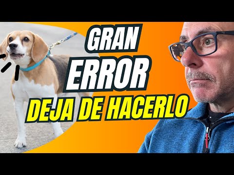 ❌NEVER CORRECT YOUR DOG LIKE THIS (How to Correct or Scold Him Without Breaking the Bond)
