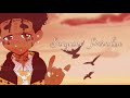 Lil Uzi Vert Sanguine Paradise Clean