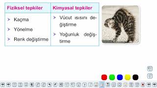Eğitim Vadisi 9.Sınıf Biyoloji 1.Föy Canlıların Ortak Özellikleri Konu Anlatım Videoları