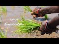 Silu Silu Vendru Vanamagan Nature Whatsapp Status