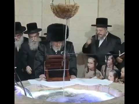 A fish jumped out of the water during Tashlich with the Belzer Rebbe