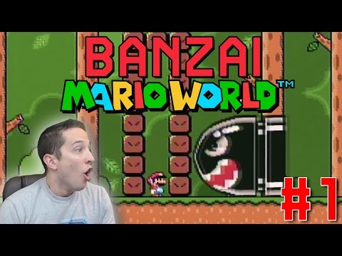 "Mistakes Were Made" | Banzai Mario World Ep. 1