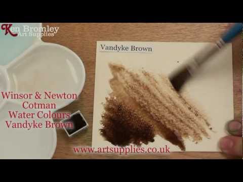 Winsor & Newton Cotman paint Vandyke Brown 676
