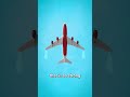 Why Airplanes Have Curved Wing Tips