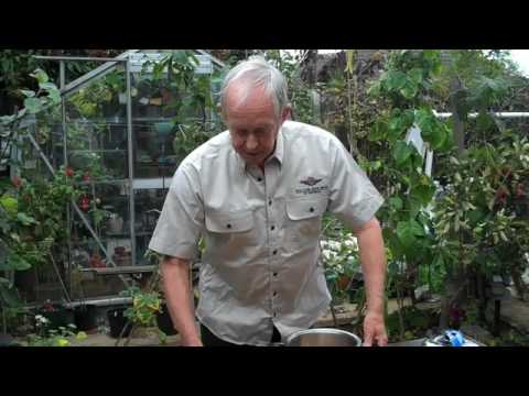 Baz's hobbies  - 6 - UK - Growing fruit in a Small English garden