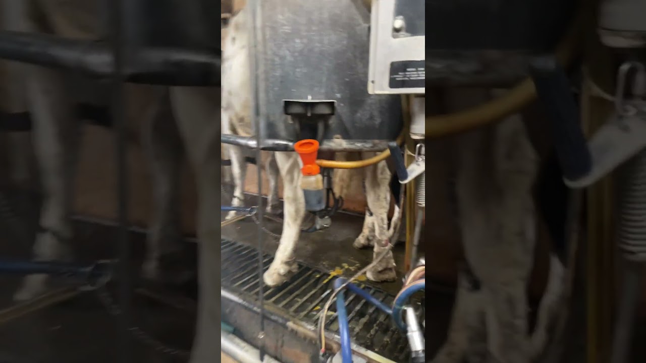 Just a little spin around the TriPlex parlor